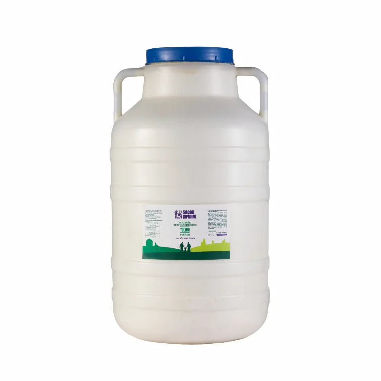Tam Yağlı Olgunlaştırılmış Tulum Peyniri — 25 kg